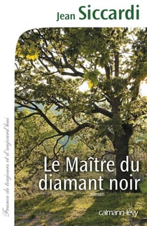 Le maître du diamant noir