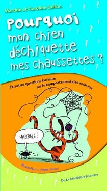 Pourquoi mon chien déchiquette mes chaussures