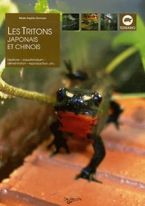 Les tritons japonais et chinois
