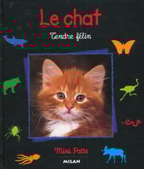 Le chat - tendre felin