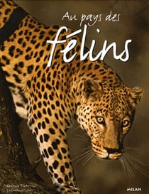 Au pays des felins