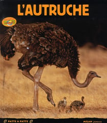 L'autruche