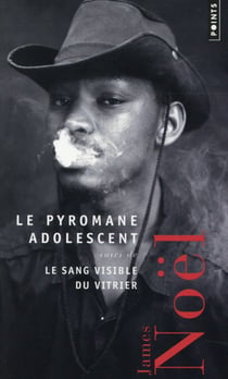 Le Pyromane adolescent - Le sang visible du vitrier