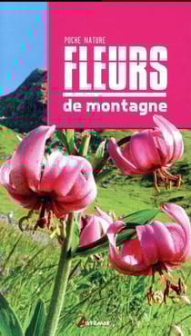 Fleurs de montagne