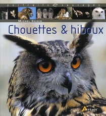 Chouettes & hiboux