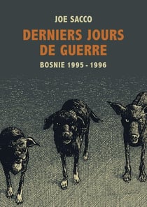 Derniers jours de guerre - Bosnie 1995-1996