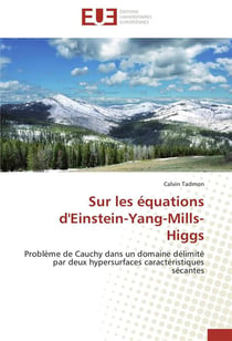 Sur les equations d'einstein-yang-mills-higgs