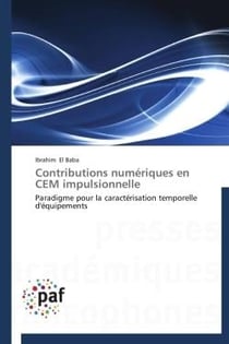 Contributions numériques en CEM impulsionnelle