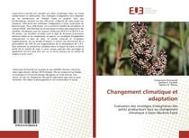 Changement climatique et adaptation - evaluation des strategies d'adaptation des petits producteurs