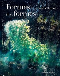 Roualla Daniel : Formes des formes