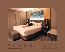 Danielle L. Goldstein : Transience