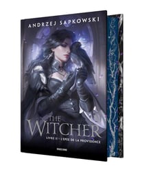 The Witcher (le sorceleur) Tome 2 : L'Épée de la Providence
