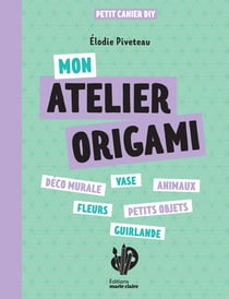 Mon atelier origamis : 12 modèles variés