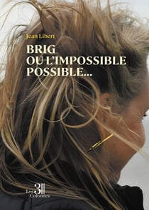 Brig ou l'impossible possible... : Chroniques d'un amour au temps du virtuel