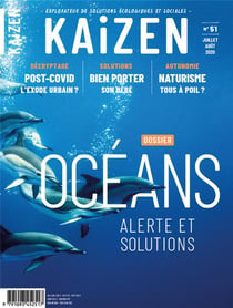 KAIZEN n.51