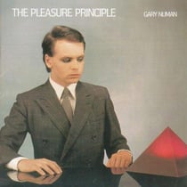 The pleasure princip