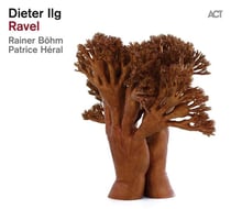 Dieter Ilg
