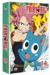 Fairy Tail - Vol. 14