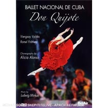 Don quijote