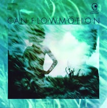 Flow motion