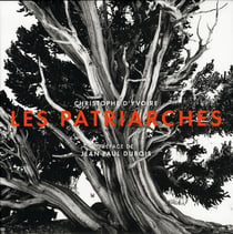 Les patriarches