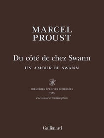 À la recherche du temps perdu : du côté de chez Swann - un amour de Swann