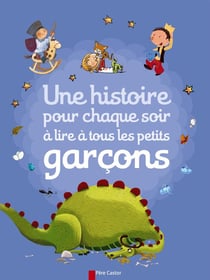 Une Histoire Pour Chaque Soir A Lire A Tous Les Petits Garcons