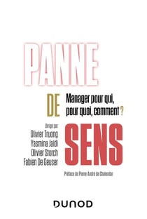 Panne de sens
