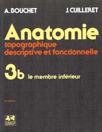 Anatomie topo t.3.b - le membre inférieur