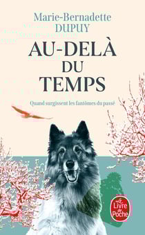 Le mystère Soline Tome 1 : au-delà du temps