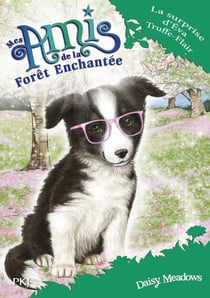 Mes amis de la forêt enchantée Tome 10 : la surprise d'Éva Truffe-Flair