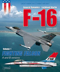 Great americancombat aircraft f16 t.1