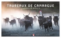 Taureaux de Camargue : Focus - Camargue bulls