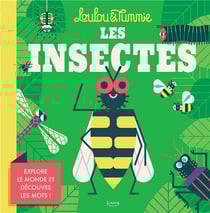 Les insectes : explore le monde et découvre les mots !