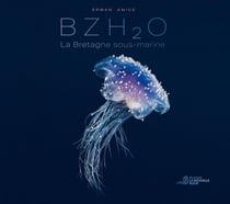 BZH2O : La Bretagne sous-marine