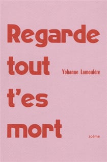 Cahier Tome 12 : regarde tout, t'es mort
