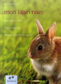 Mon lapin nain