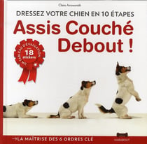 Assis, debout, couché - les règles du dressage canin en 10 étapes