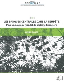 Les banques centrales dans la tempête