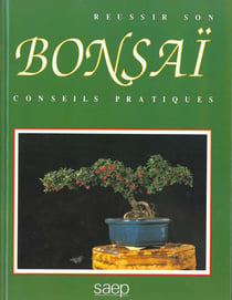 Reussir son bonsai - conseils pratiques