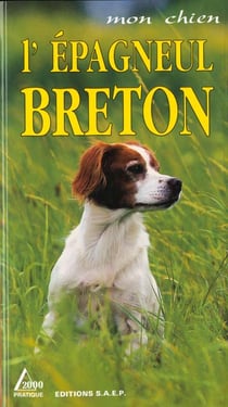 L'epagneul breton