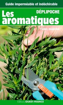 Les aromatiques