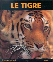 Le tigre - seigneur solitaire