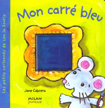 Mon carre bleu