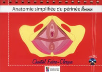 Anatomie simplifiée du périnée féminin