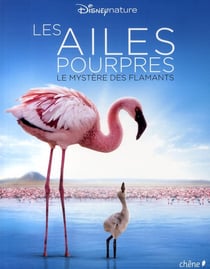 Les ailes pourpres - le mystère des flamants