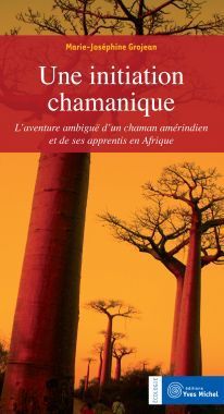 Une initiation chamanique : L'aventure ambigüe d'un chaman améridien et de ses apprentis en Afrique