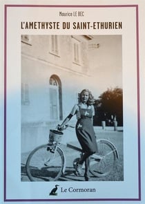 L'améthyste du saint-ethurien