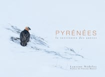 Pyrénées : Le territoire des autres