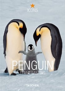 PENGUINS